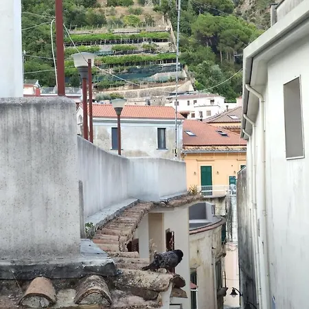 Celeste Costiera Майори