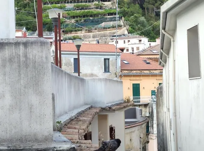 Celeste Costiera マイオーリ